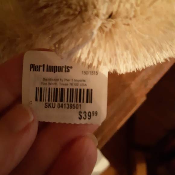 Polar bears - Picture 9 of 10